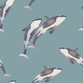 Vector of two killer whales, blue background Royalty Free Stock Photo